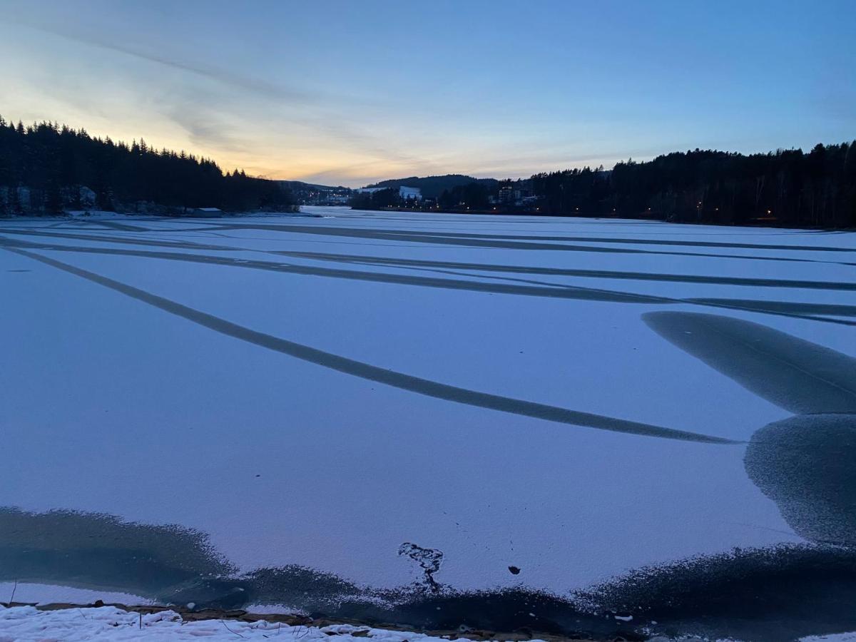 Lipno Port Apartment A103 Lipno nad Vltavou Εξωτερικό φωτογραφία